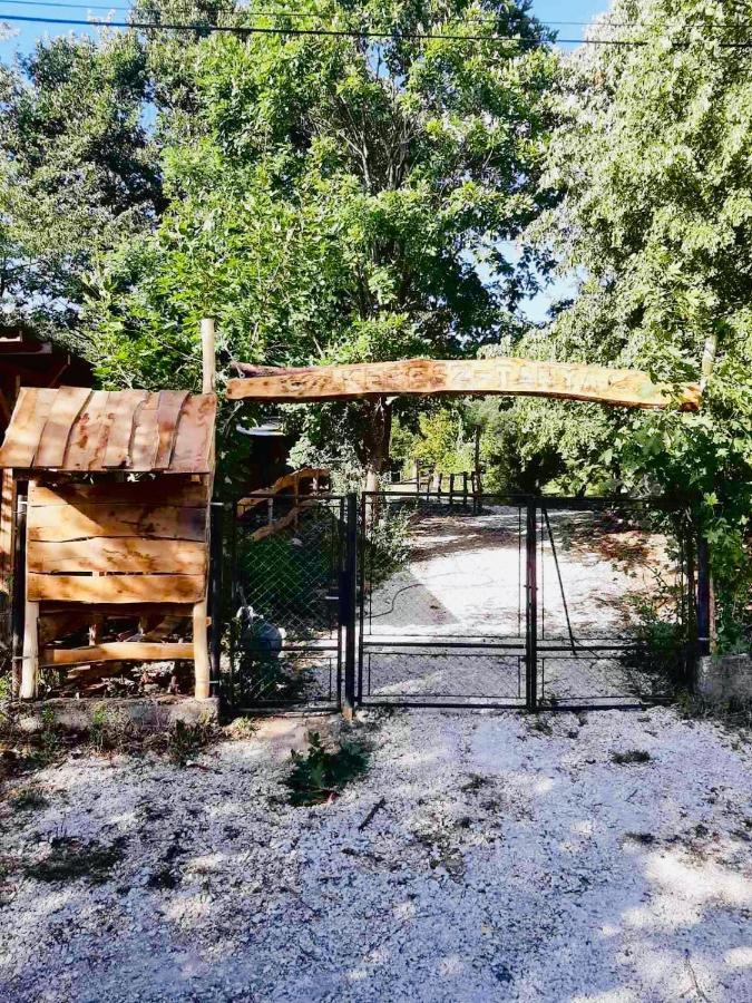 Hotel Jurta Az Erdo Mellett Dezsaval-Keresz-Tanya Pilisszentkereszt Exterior foto